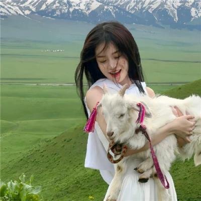 叔比狗..恐怖稻草人